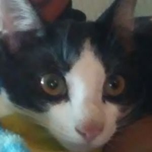 Meet your Posher, Logan